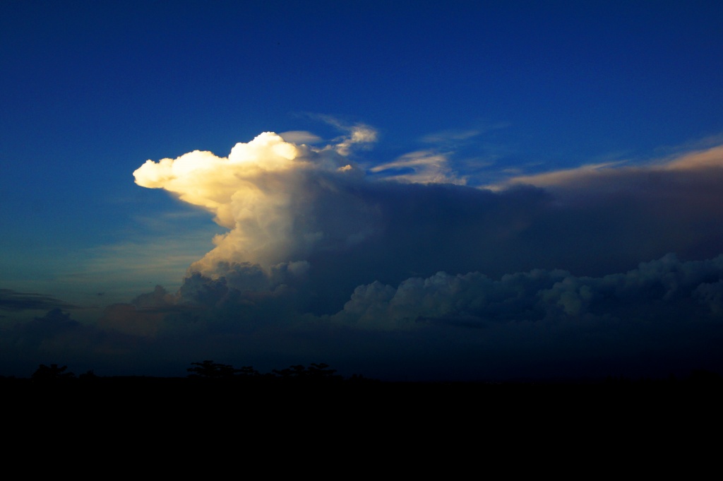 SONY DSC